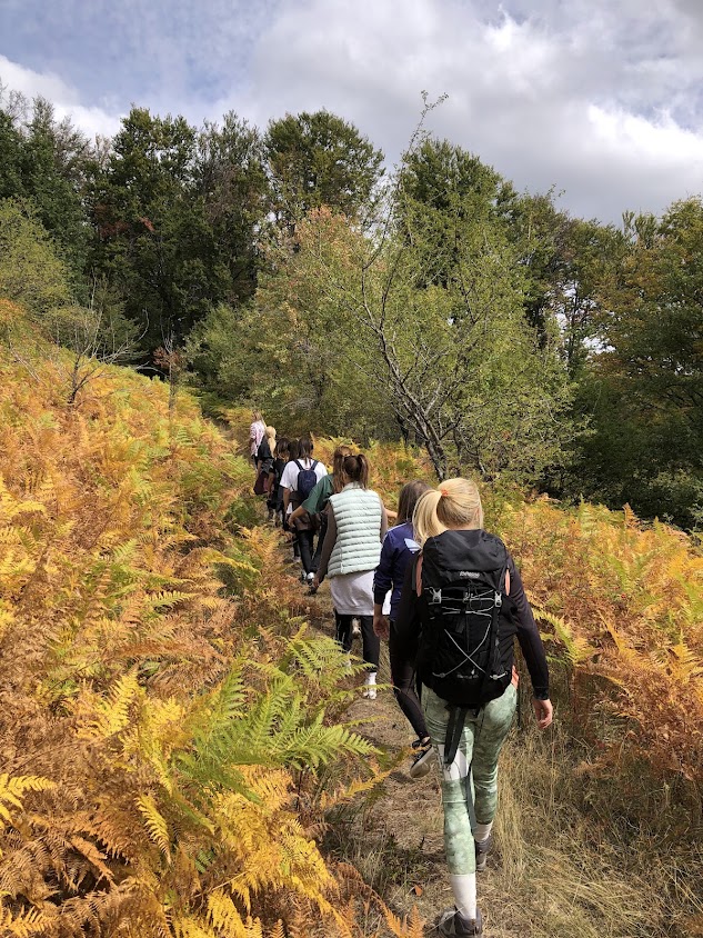 Пешеходни преходи